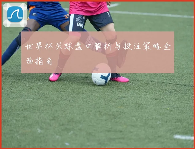 世界杯买球盘口解析与投注策略全面指南