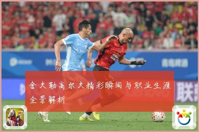 舍夫勒高尔夫精彩瞬间与职业生涯全景解析
