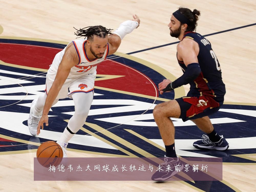 梅德韦杰夫网球成长轨迹与未来前景解析